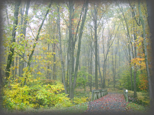 The Neighborhood Path